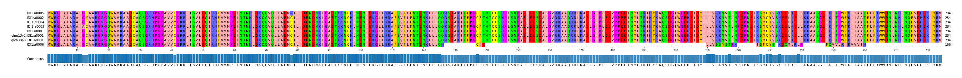 Multiple Alignments (by translate haplotype similarity)