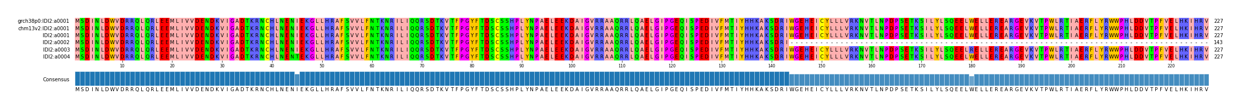 Multiple Alignments (by translate haplotype frequency)