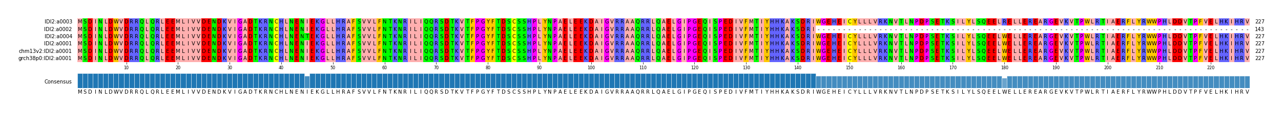Multiple Alignments (by translate haplotype similarity)