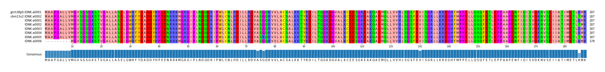 Multiple Alignments (by translate haplotype frequency)