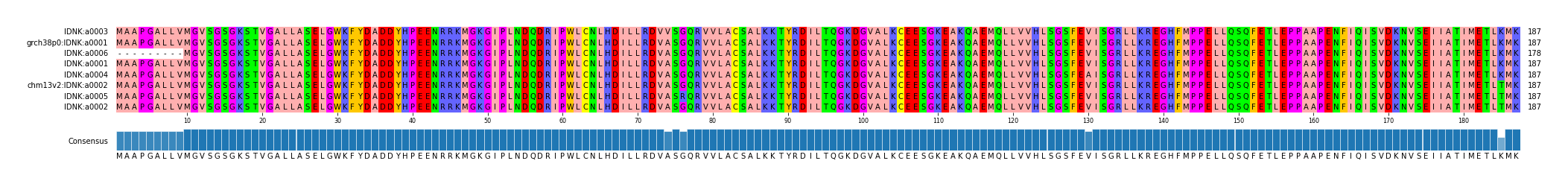 Multiple Alignments (by translate haplotype similarity)