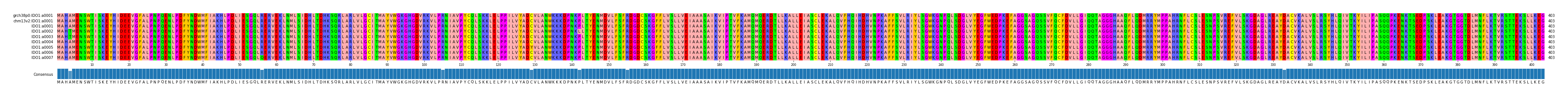 Multiple Alignments (by translate haplotype frequency)
