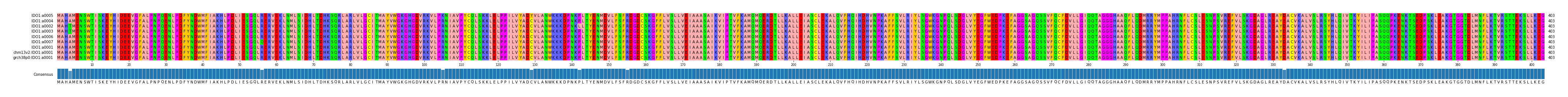 Multiple Alignments (by translate haplotype similarity)