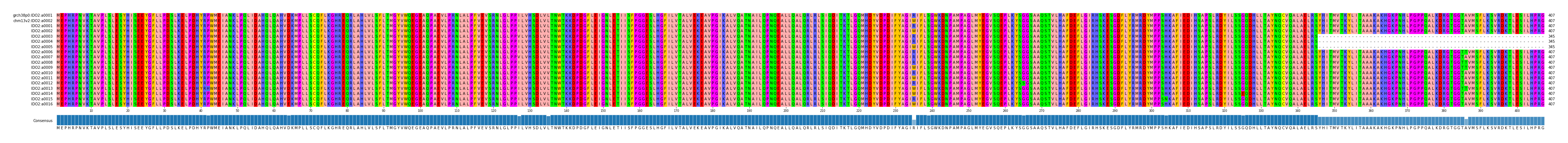 Multiple Alignments (by translate haplotype frequency)