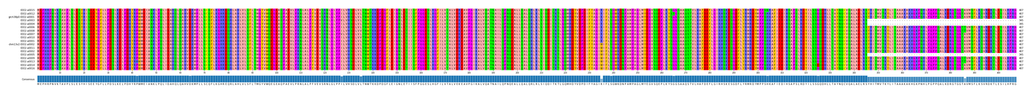 Multiple Alignments (by translate haplotype similarity)