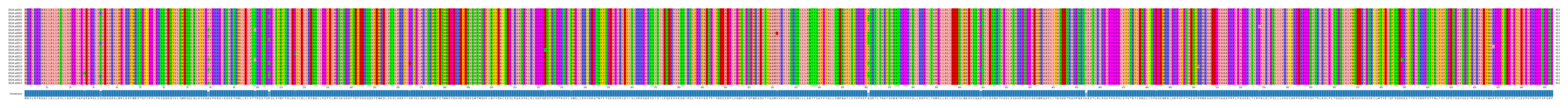Multiple Alignments (by translate haplotype frequency)