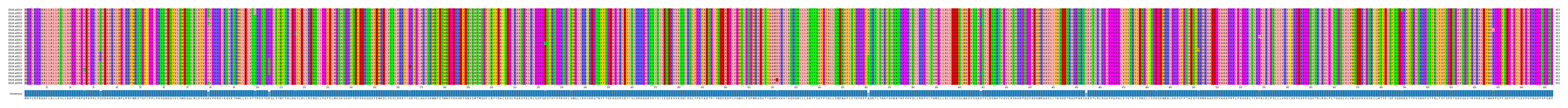 Multiple Alignments (by translate haplotype similarity)