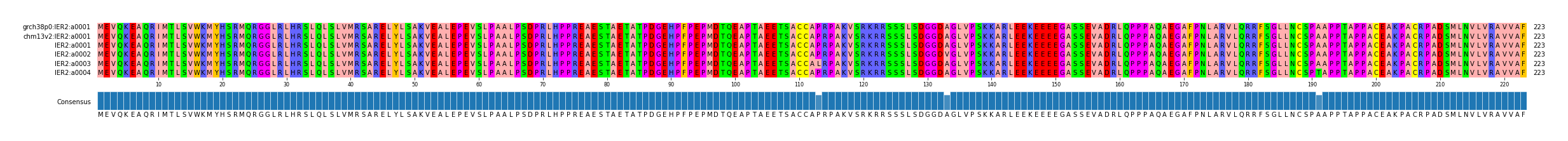 Multiple Alignments (by translate haplotype frequency)