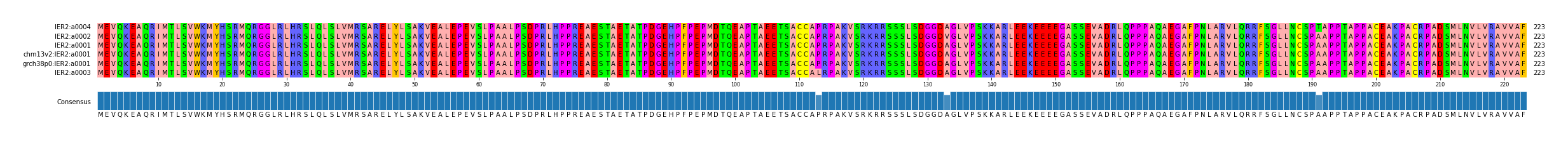 Multiple Alignments (by translate haplotype similarity)