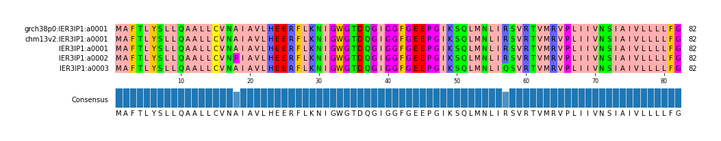 Multiple Alignments (by translate haplotype frequency)