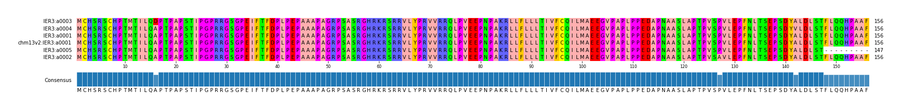 Multiple Alignments (by translate haplotype similarity)