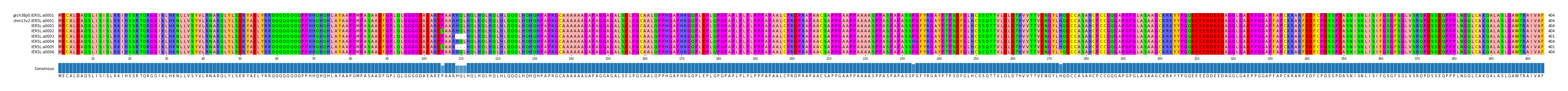 Multiple Alignments (by translate haplotype frequency)