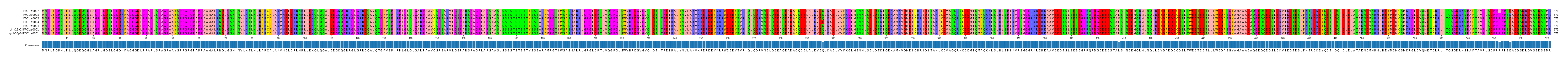 Multiple Alignments (by translate haplotype similarity)