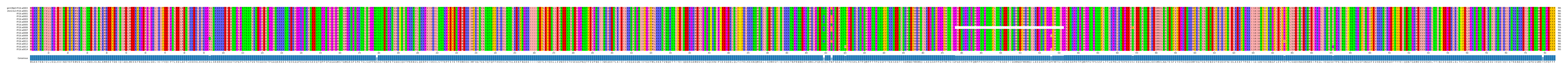 Multiple Alignments (by translate haplotype frequency)