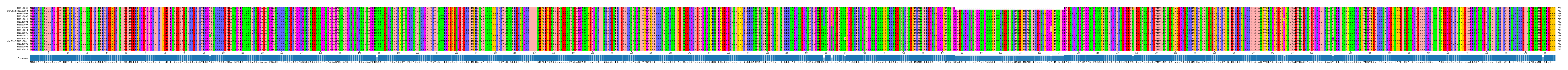 Multiple Alignments (by translate haplotype similarity)