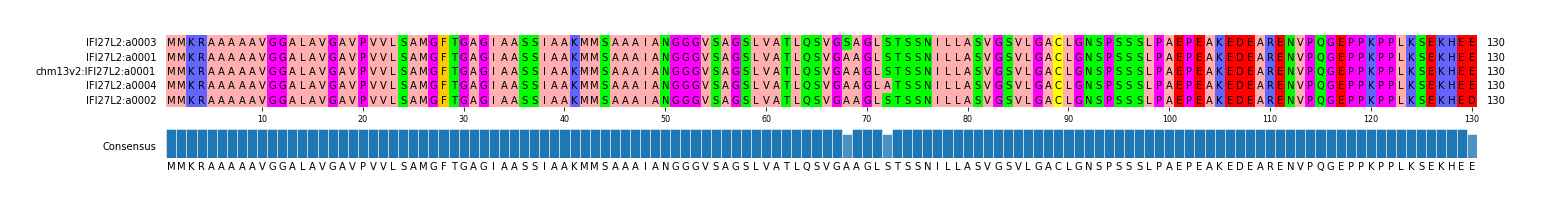 Multiple Alignments (by translate haplotype similarity)