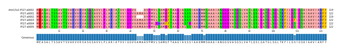 Multiple Alignments (by translate haplotype frequency)