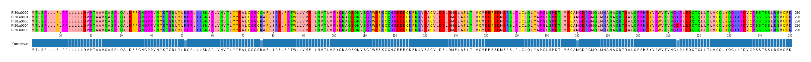 Multiple Alignments (by translate haplotype similarity)