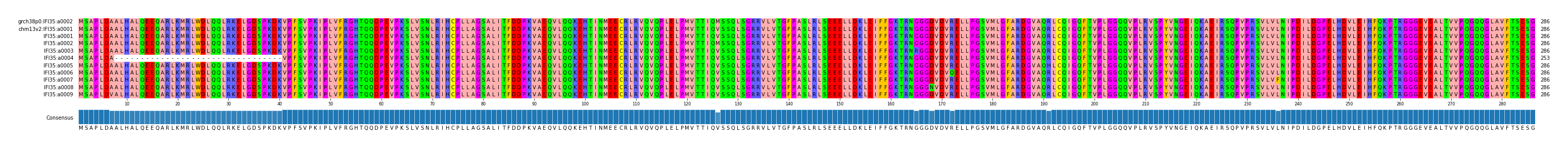 Multiple Alignments (by translate haplotype frequency)