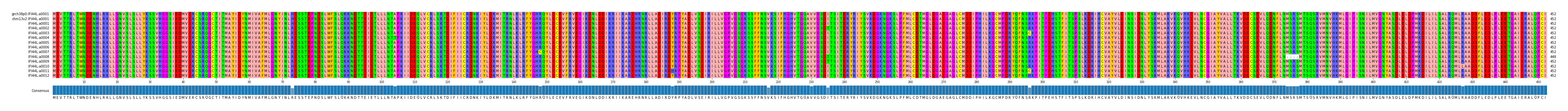 Multiple Alignments (by translate haplotype frequency)