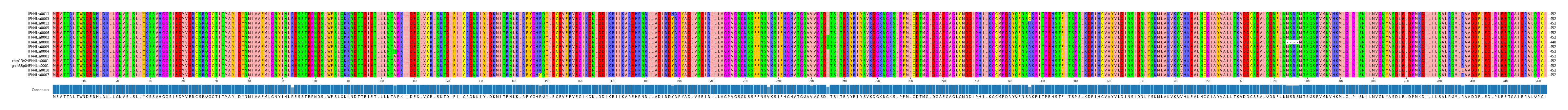 Multiple Alignments (by translate haplotype similarity)