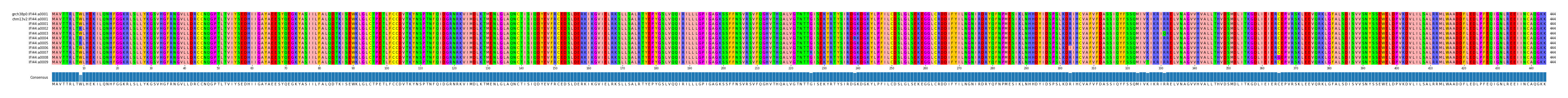 Multiple Alignments (by translate haplotype frequency)