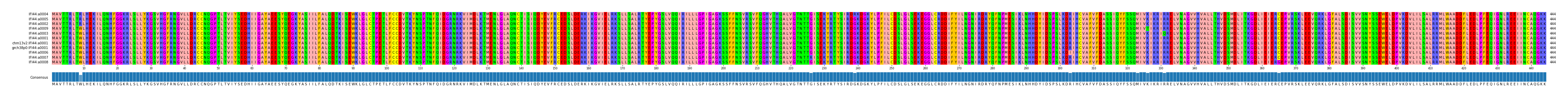 Multiple Alignments (by translate haplotype similarity)