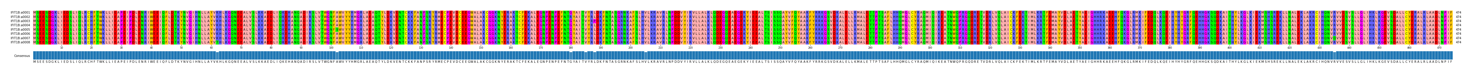 Multiple Alignments (by translate haplotype frequency)