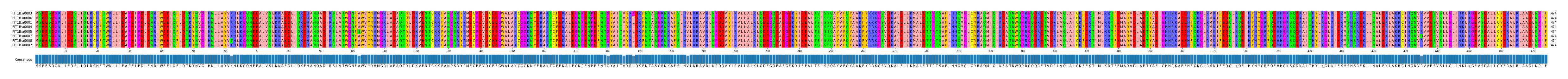 Multiple Alignments (by translate haplotype similarity)
