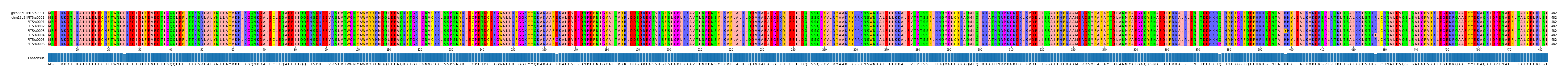 Multiple Alignments (by translate haplotype frequency)