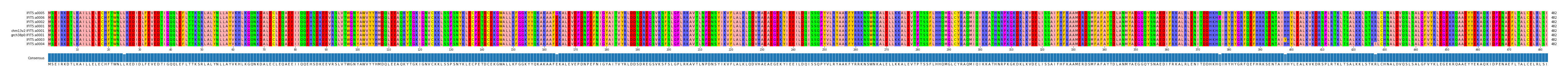 Multiple Alignments (by translate haplotype similarity)