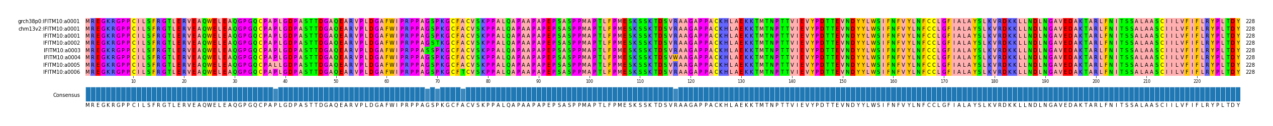 Multiple Alignments (by translate haplotype frequency)