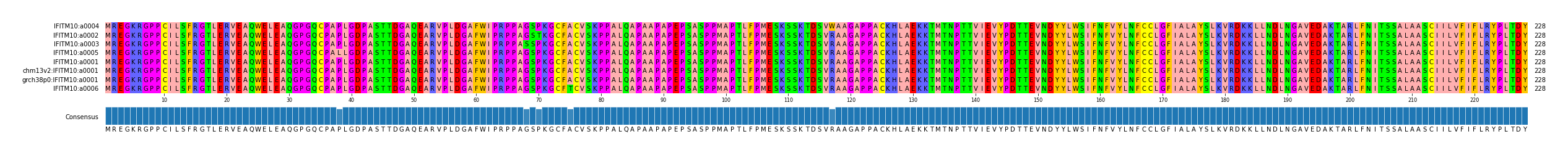 Multiple Alignments (by translate haplotype similarity)