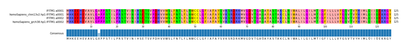 Multiple Alignments (by translate haplotype similarity)