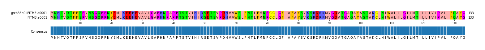 Multiple Alignments (by translate haplotype similarity)