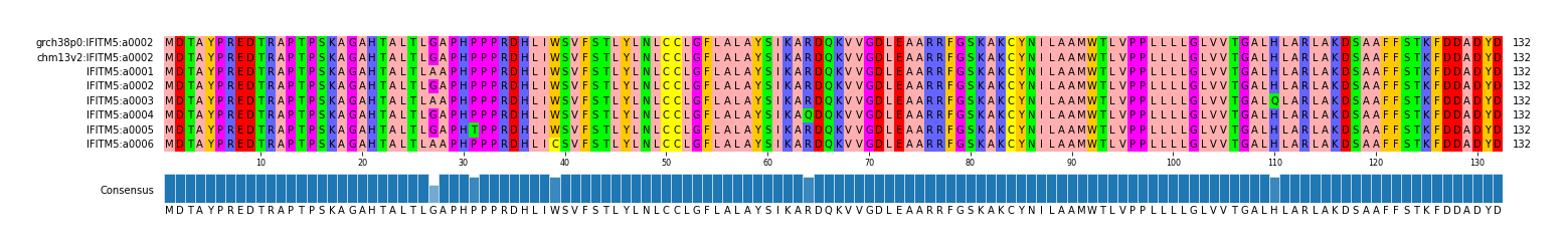 Multiple Alignments (by translate haplotype frequency)