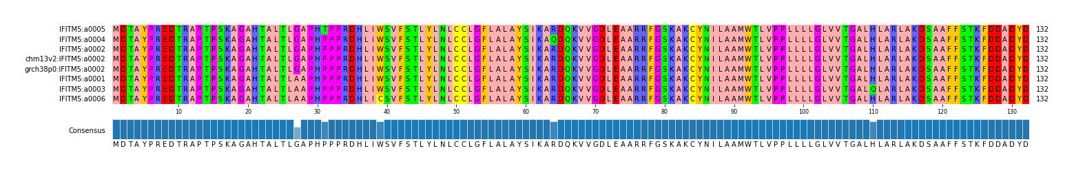 Multiple Alignments (by translate haplotype similarity)