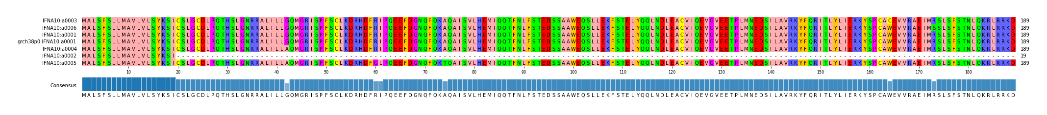 Multiple Alignments (by translate haplotype similarity)