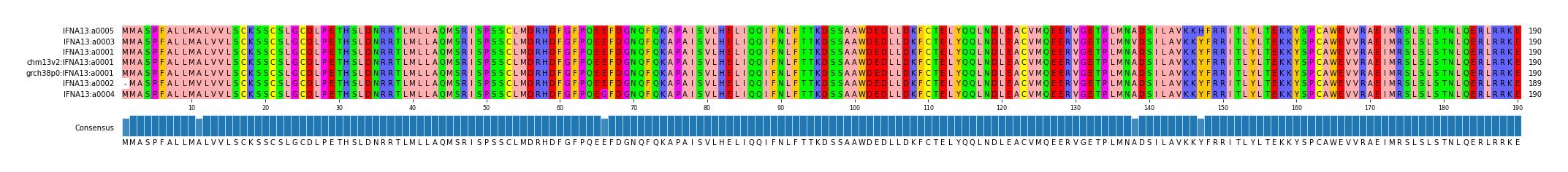 Multiple Alignments (by translate haplotype similarity)