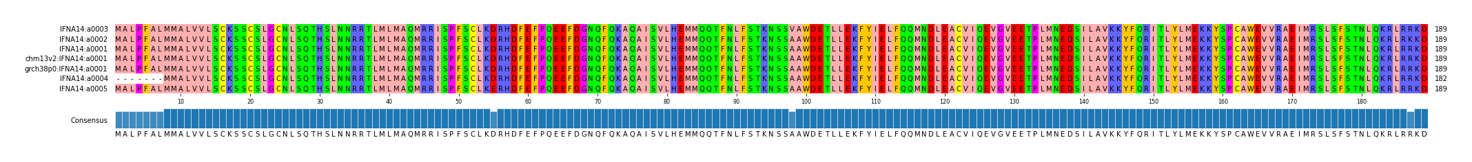 Multiple Alignments (by translate haplotype similarity)