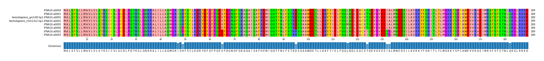 Multiple Alignments (by translate haplotype similarity)