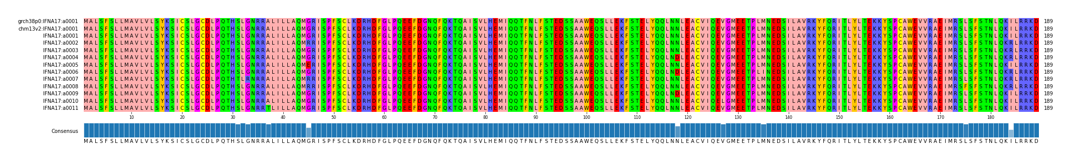 Multiple Alignments (by translate haplotype frequency)