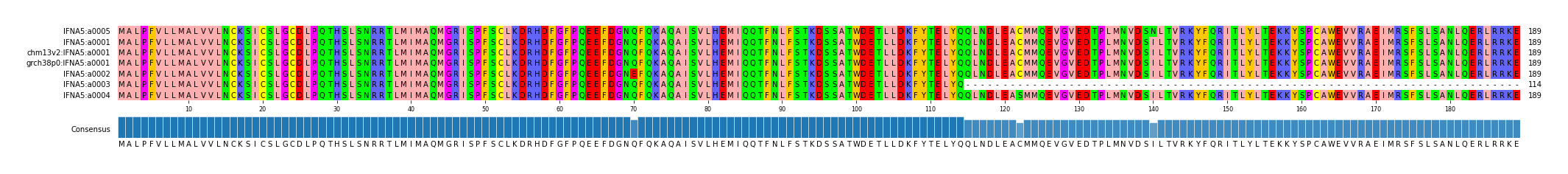 Multiple Alignments (by translate haplotype similarity)