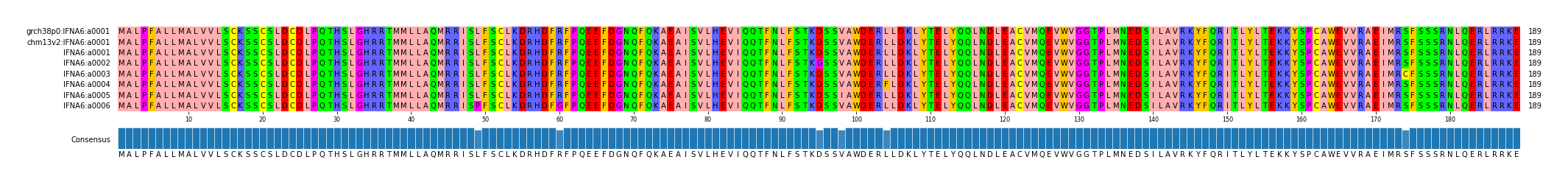 Multiple Alignments (by translate haplotype frequency)