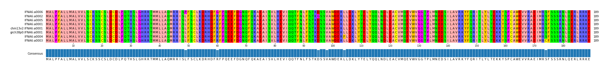 Multiple Alignments (by translate haplotype similarity)