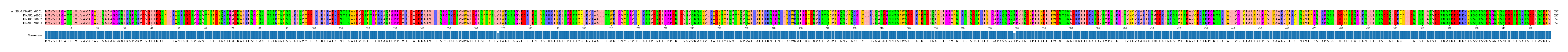 Multiple Alignments (by translate haplotype frequency)