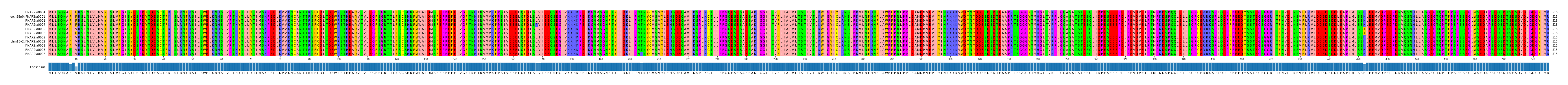 Multiple Alignments (by translate haplotype similarity)