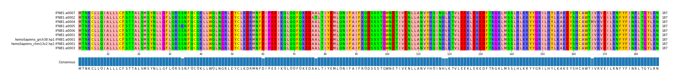 Multiple Alignments (by translate haplotype similarity)