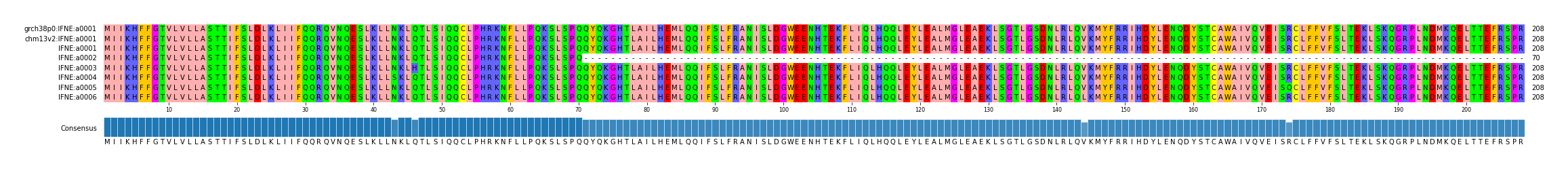 Multiple Alignments (by translate haplotype frequency)