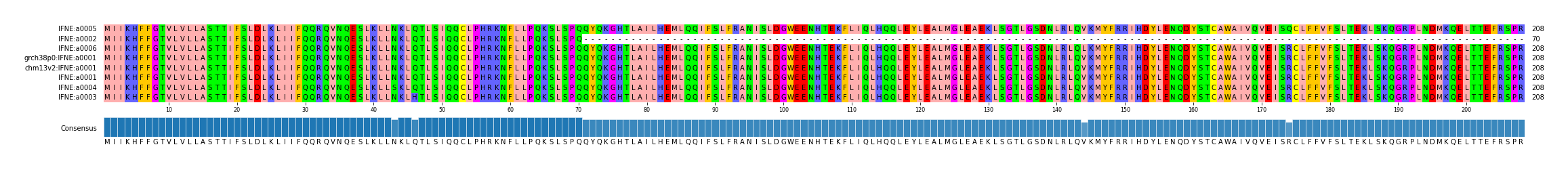 Multiple Alignments (by translate haplotype similarity)